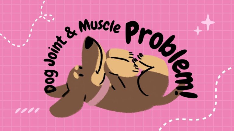 Illustrated pets with joint and muscle problems, representing pet joint and muscle health