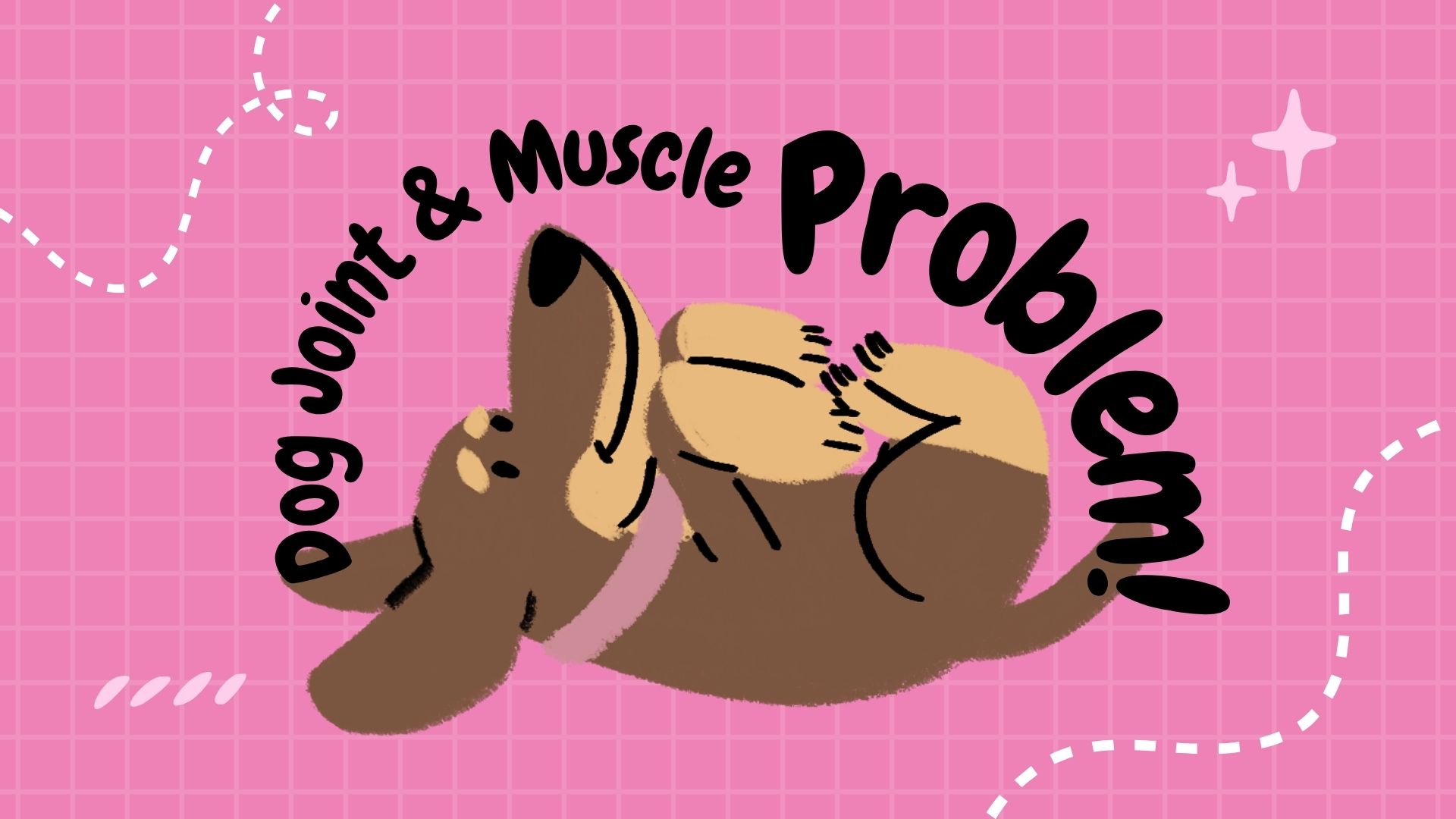 Illustrated pets with joint and muscle problems, representing pet joint and muscle health