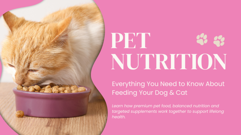 Pet nutrition guide for dogs and cats covering healthy feeding, balanced diets and pet supplements