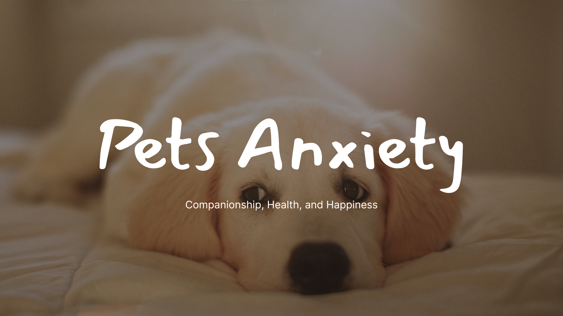 Dog showing signs of anxiety while resting on a bed, representing pet stress and emotional wellbeing.
